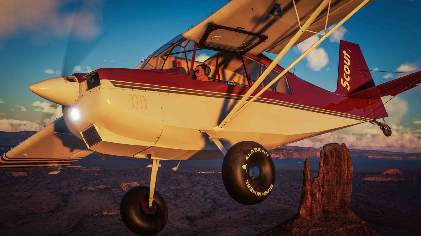 American Champion Scout(8GCBC)