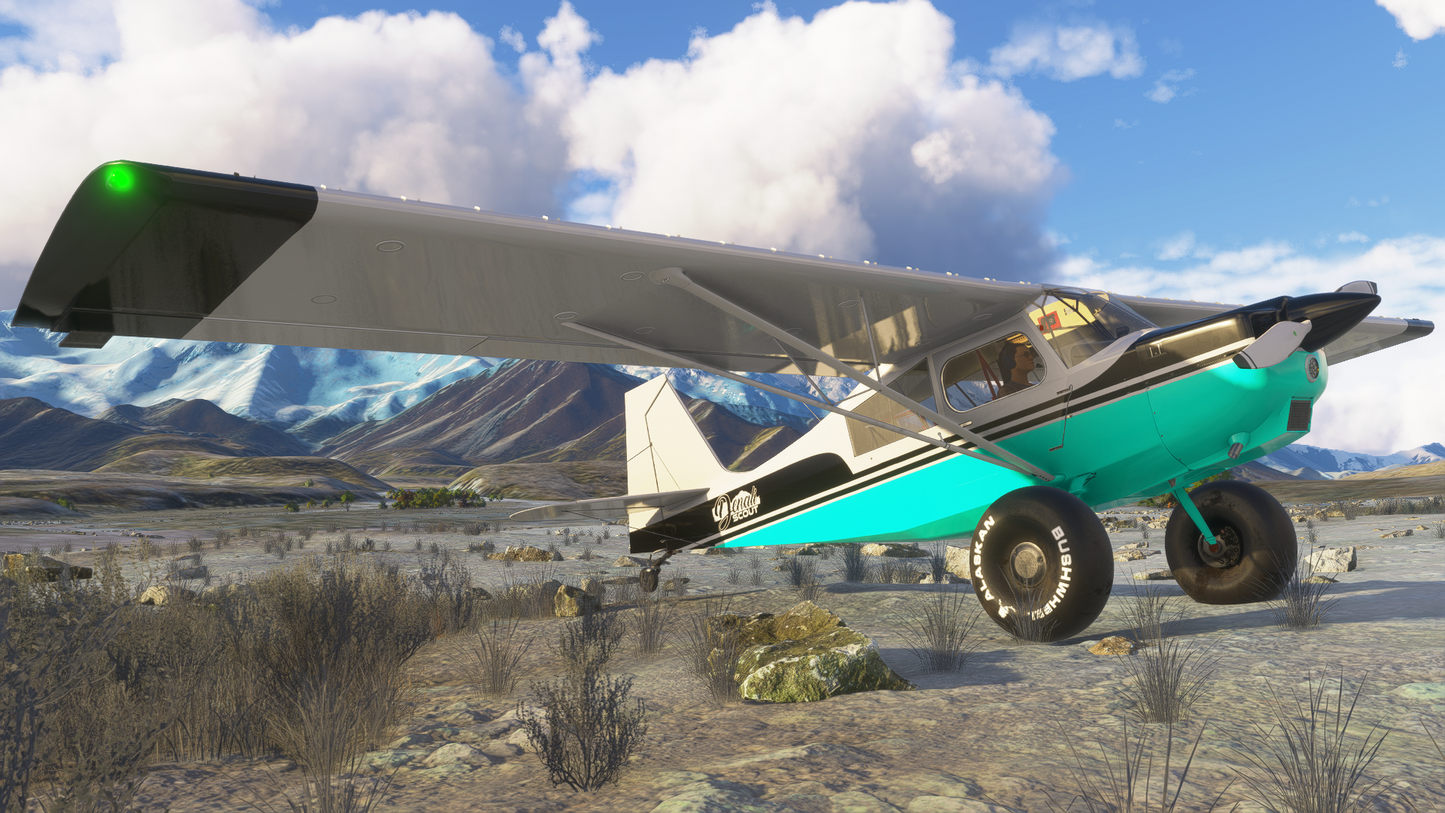 American Champion Scout(8GCBC)