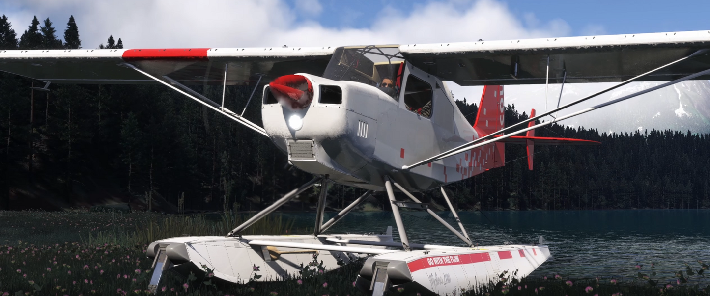 American Champion Scout(8GCBC)