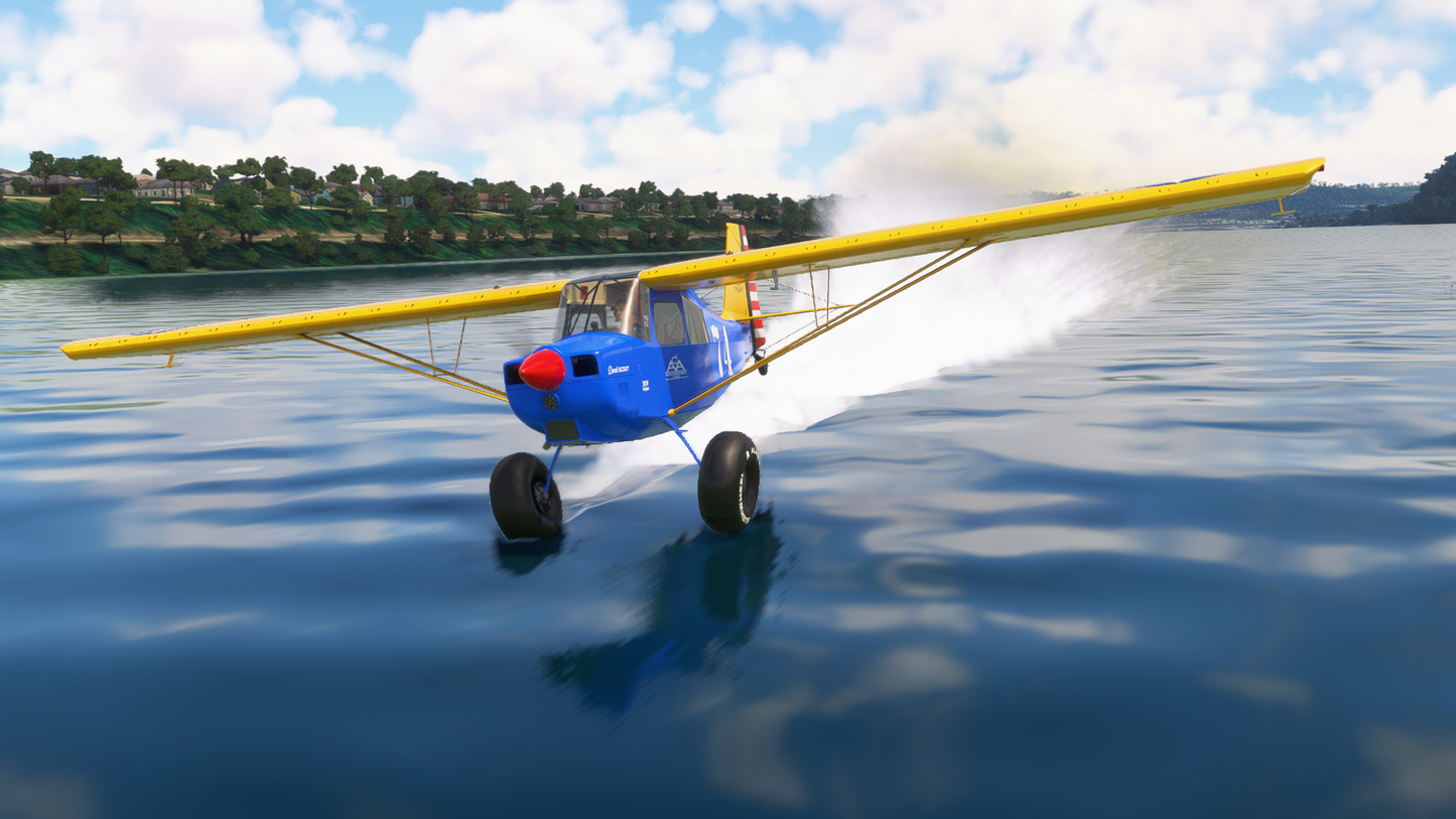 American Champion Scout(8GCBC)
