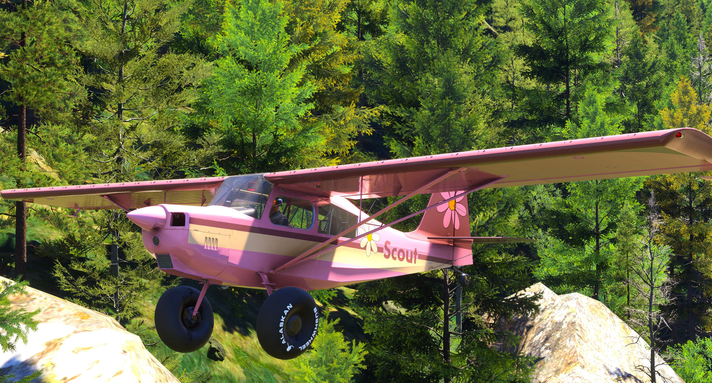 American Champion Scout(8GCBC)