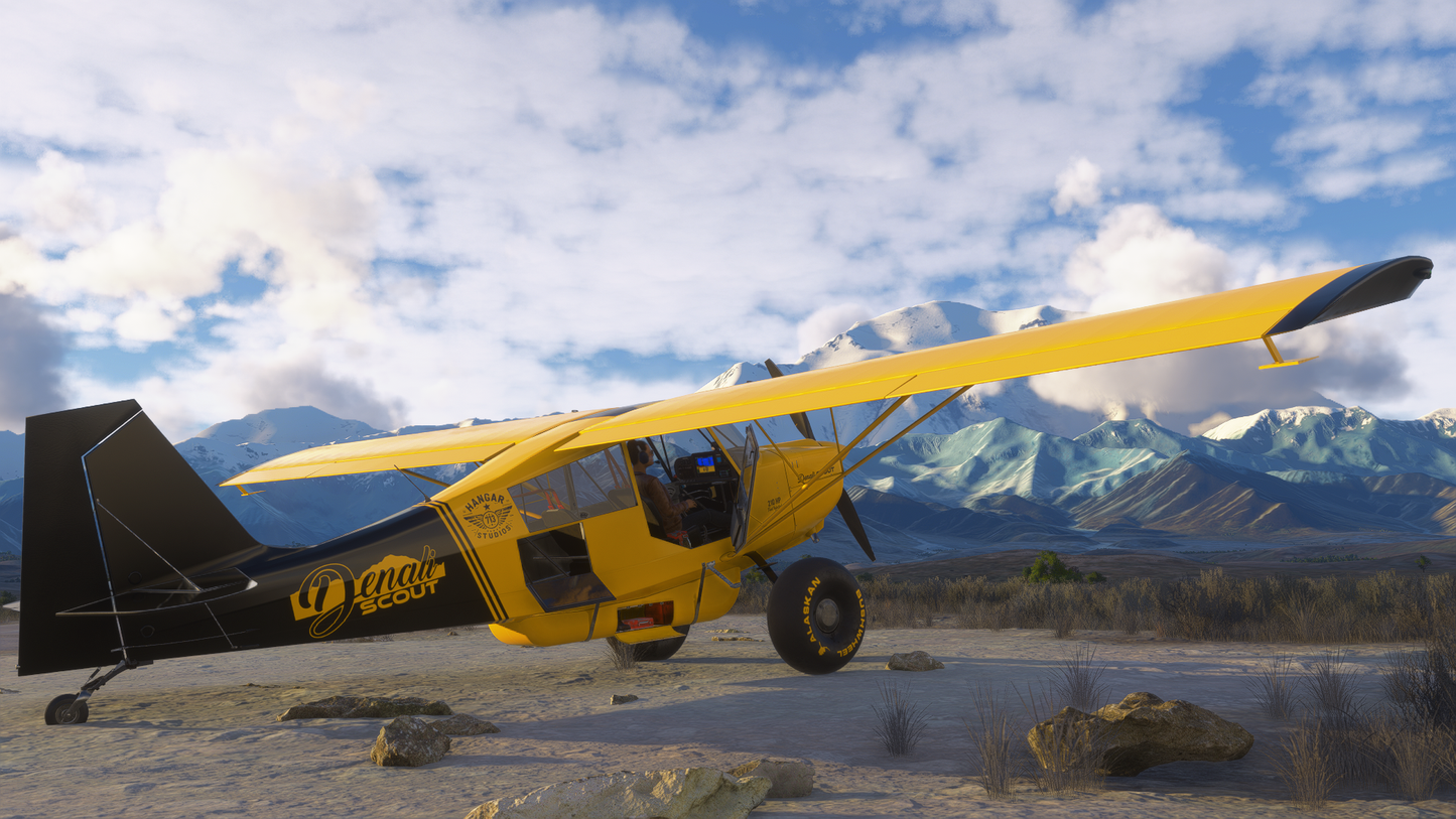 American Champion Scout(8GCBC)